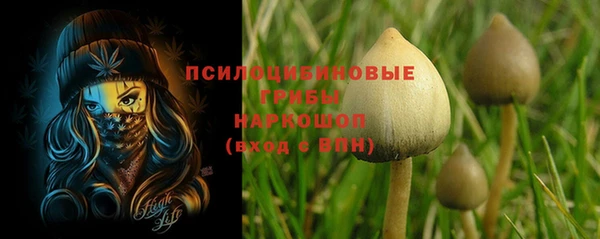 хмурый Вязники