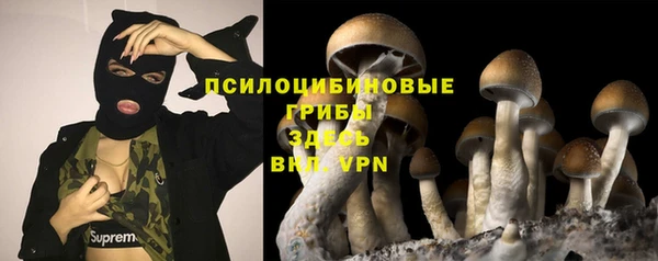 ALPHA PVP Верхний Тагил