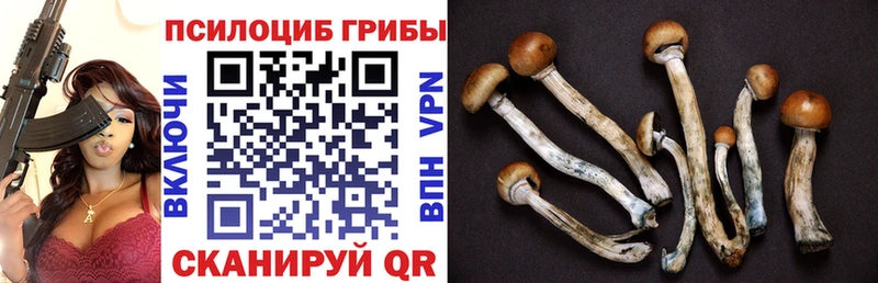 Галлюциногенные грибы Psilocybe  дарнет шоп  Еманжелинск 